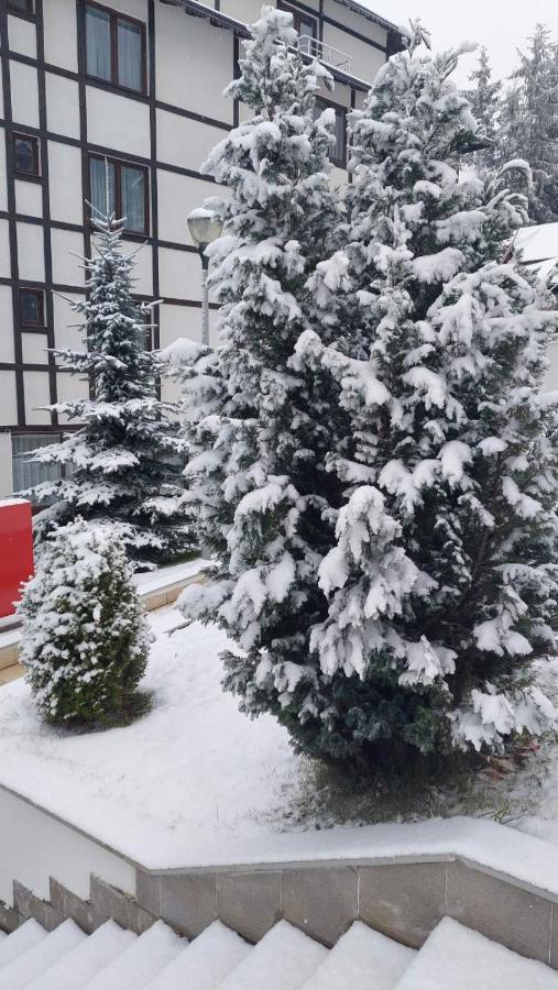Falling Star Apartman Brzeće Zewnętrze zdjęcie